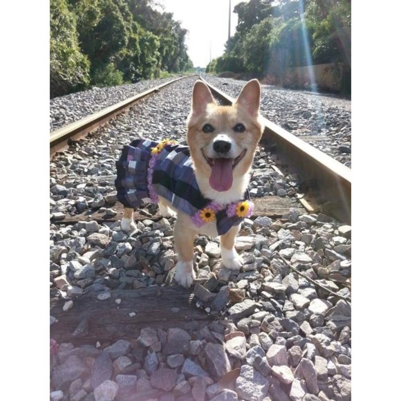 Dog Pet Dress Hoodie Costume, Dog Birthday Tutu Dog Princess Costume Pet Clothes - Picture 2 of 12